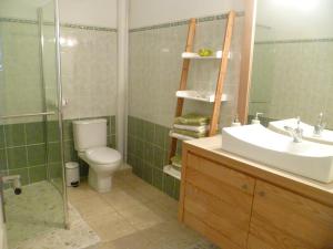 a bathroom with a sink and a toilet and a shower at F2 pour une pause hors du temps in Ducos