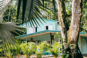 a blue house with a tree in front of it at Casa Olas Bluff Beach in Bocas del Toro