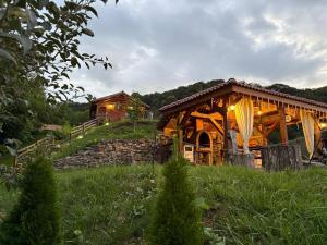 a log cabin in the middle of a field at Chalets du BF in Sighişoara