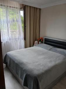 Gallery image of გონიო 1 in Gonio