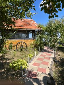 Zahrada ubytování The Realm of Abundance Cottage + 26 fotografií