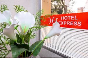 a vase with white flowers in a window at Hotel Express São Leopoldo in São Leopoldo