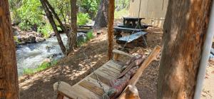 Gallery image of Dog Friendly Room with a Queen Bed and Kitchenette at the Cedaredge Lodge in Cedaredge +10 photos