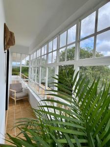 a room with large windows and a plant at Airtegal Casa do Pepe Cedeira in Cedeira