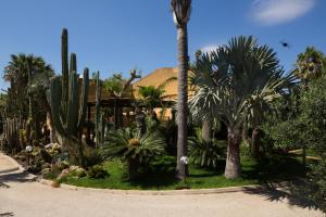 Gallery image of Oasi delle Succulente in Marsala