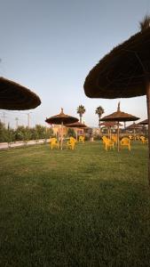 a group of yellow chairs and umbrellas in a field at appartement 2 les oranges in Berkane +28 photos