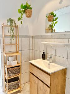 a bathroom with a sink and a shelf with plants at Shared Apartment am Binnenhafen in Hamburg