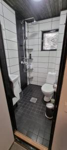 a bathroom with a toilet and a sink and a shower at House for 4 person near Meyer Turku in Turku +17 photos