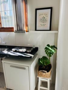 a kitchen with a plant in a basket on a counter at Estúdio térreo nas margens da Lagoa in Florianópolis