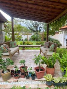 un patio con un mucchio di piante e panche in vaso di A Casa da Ilha a Vera Cruz de Itaparica Altre 92 foto