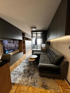 Χώρος καθιστικού στο Modern City View Apartment near Medical College Free Street Parking