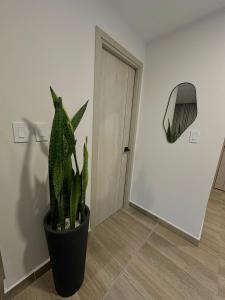 Foto dalla galleria di Cómodo apartamento Vista Perfecta Artemisa a Tegucigalpa