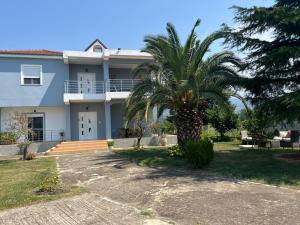a palm tree in front of a house at Villa ILIRIAN in Laç