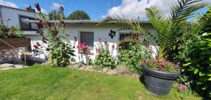 a garden with flowers and plants in front of a house at Ferienwohnung Stein in Sassnitz