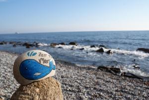 a stuffed animal sitting on a rocky beach at Ferienwohnung Stein in Sassnitz