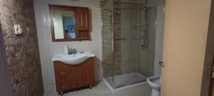 a bathroom with a sink and a shower and a toilet at Apartamento Susy in Paysandú