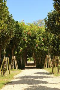 Zahrada ubytování Yoga Retreat Village, kSaNa - Vacation STAY 95942v