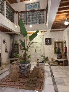 a room with a large vase with a plant in it at RIAD LA SANTA in Chefchaouene +69 photos