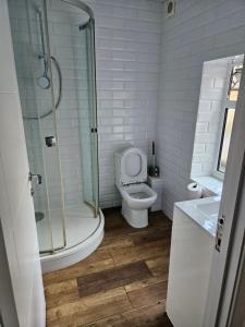 a bathroom with a shower and a toilet and a sink at Northampton RoomKey in Northampton