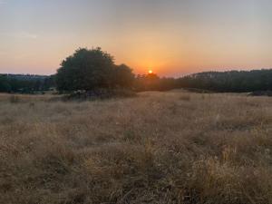 Le NayracにあるLa maisonnetteの夕日を背景に高い草原