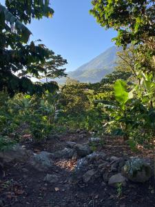 Ein Berg in der Ferne mit Bäumen und Felsen in der Unterkunft Hiking San Juan in Cataltzul