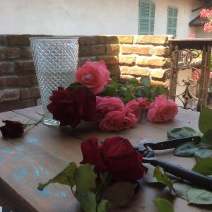 Zahrada ubytování Appartamento73 + 18 fotografií