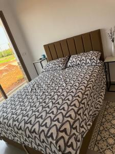 a bed with a black and white comforter and a window at appartement 2 les oranges in Berkane