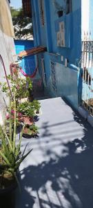a blue building with a potted plant on a sidewalk at Casa Azul em Santa Tereza in Belo Horizonte