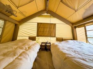 Zimmer mit 2 Betten in einem Zelt in der Unterkunft Rasta Camp Hakushu - Vacation STAY 03221v in Shirasu