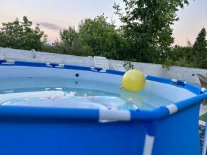 a pool with a yellow ball on top of it at Curovac Nature in Ilidža
