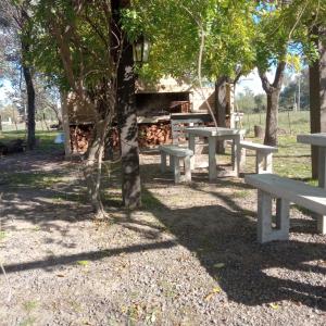 Un grupo de mesas de picnic bajo un árbol. en Hostel el Rincón, en San Antonio de Areco