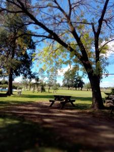 una mesa de picnic bajo un árbol en un parque en Hostel el Rincón, en San Antonio de Areco