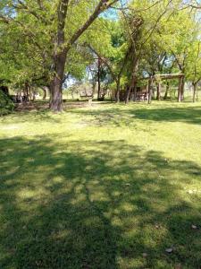 un parque con un árbol en medio de un campo en Hostel el Rincón, en San Antonio de Areco 2 fotos más