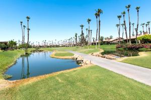a walkway through a park with palm trees and a pond at TWO Guest Suites ON Tee Box #2 Palm Valley Country Club with access to Tennis and Athletic Club Two on #2! in Palm Desert