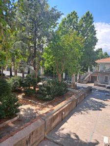 a park with trees and a retaining wall at "O Funnucu Baruni" in Giarre