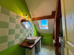 a bathroom with a sink and a green wall at Gîtes avec piscine partagée dans la Brenne, proche sites historiques - FR-1-591-120 in Rosnay +27 photos