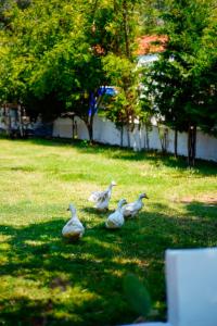Galeriebild der Unterkunft Marimare Beach & Bungalow in Marmaris