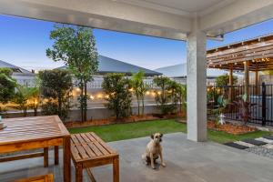 a dog sitting on a patio with a table and bench at Trinity Oasis Spa BBQ & Family Retreat in Trinity Beach