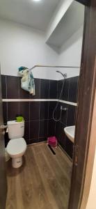 une salle de bains avec toilettes et lavabo dans l'établissement APPT A Louer MARTIL, à Martil