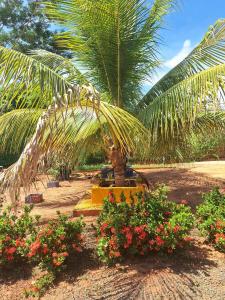 En have udenfor Chacara Flores em Vida - Olímpia SP + 10 billeder