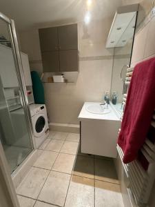 a bathroom with a sink and a washing machine at Aux portes de Genève - Chambre Individuelle in Saint-Julien-en-Genevois +6 photos