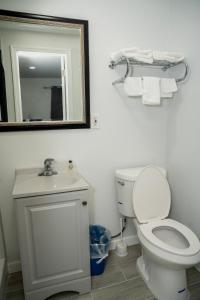 a bathroom with a toilet and a sink and a mirror at Rainbow Motel in Douglassville +17 photos