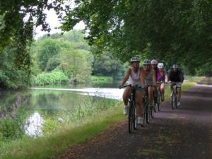 Huéspedes de Mobil home avec terrasse à Guégon - API-1-52-558