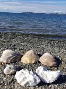 Φυσικό τοπίο κοντά σε αυτό το διαμέρισμα