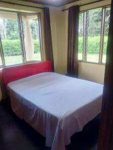 Fotografie z fotogalerie ubytování Milagro's House v destinaci Muelle del Arenal