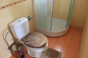 Koupelna v ubytování Cottage u Yaremy Mykulychyn