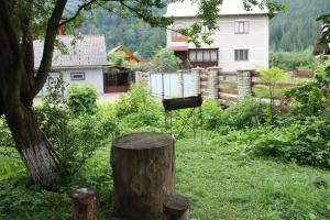 Zahrada ubytování Cottage u Yaremy Mykulychyn