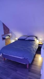a bedroom with a large bed with blue sheets and pillows at le petit cosy terrasse et spa in Petersbach