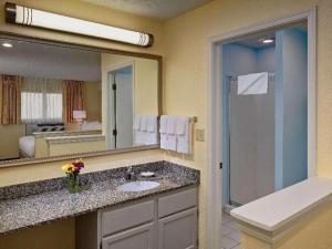 une salle de bain avec un lavabo, une douche et un miroir dans l'établissement Sonesta ES Suites Ann Arbor, à Ann Arbor 47 autres photos