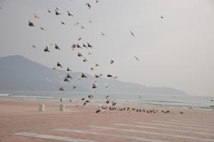 Imagen de la galería de Sunna Hotel, en Da Nang